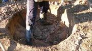 Уборка  участка  от  мусора  и его  погрузка,  услуги  грузчиков , 